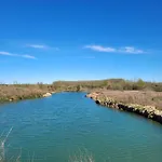 La Pedrosa * Camarzana de Tera