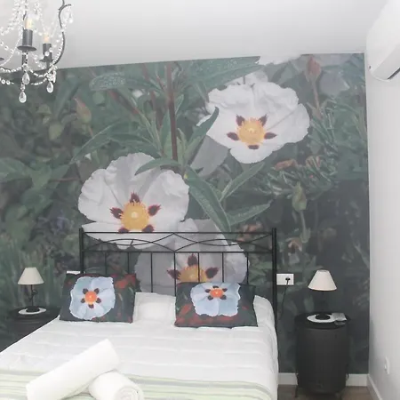 Holiday home La Pedrosa Camarzana de Tera