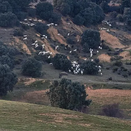 La Pedrosa Ferienhaus *