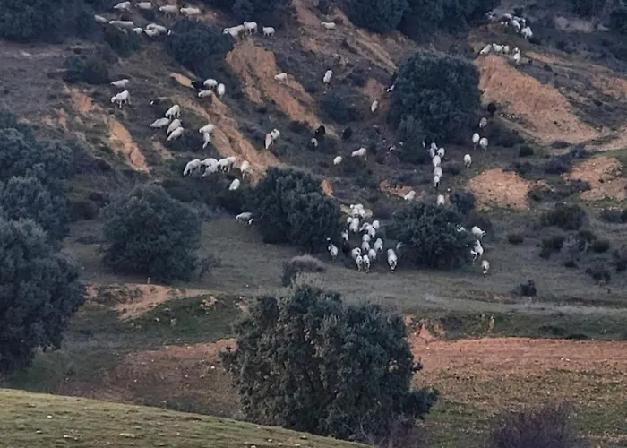 La Pedrosa Nyaraló *